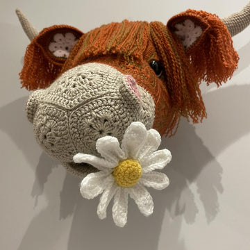 Heather the African flower highland cow head