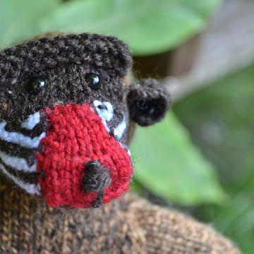 Baboon/Mandrill