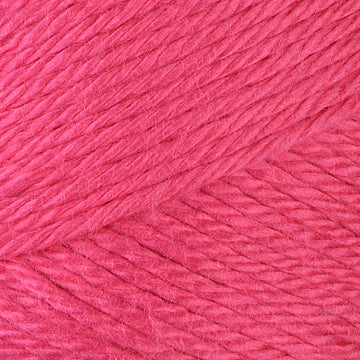 Caron Simply Soft Brites