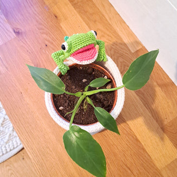 Frog Hanging Planter