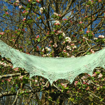 Charlotte Brontë Shawls