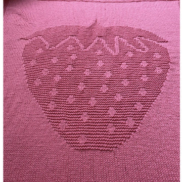Strawberry Blanket