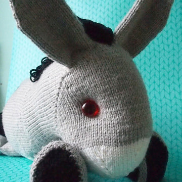 Duncan the Donkey