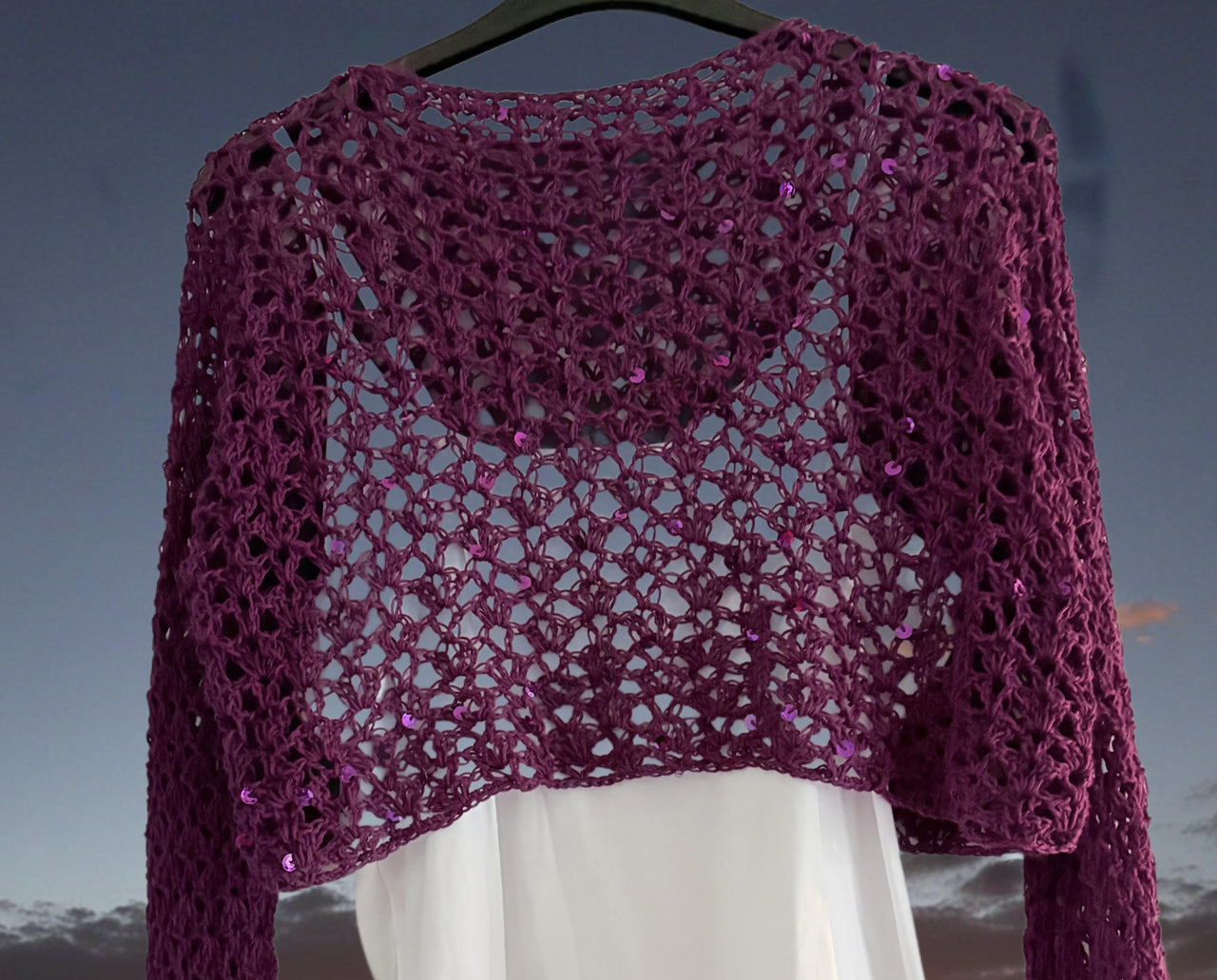 Sequin Crochet Top