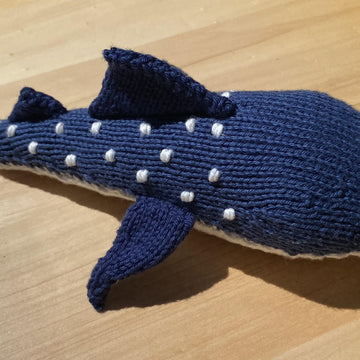 Winnie the whale shark