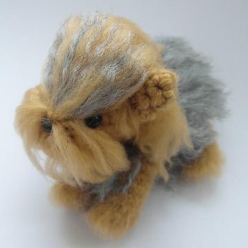 Yorkshire Terrier (Yorkie)