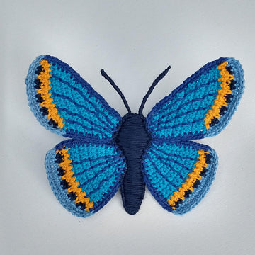 Karner Blue Butterfly