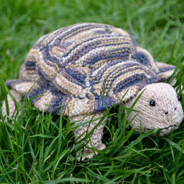 Tortoise