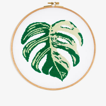 Variegated Swiss Cheese Plant in DMC - PAT0562 - Downloadable PDF