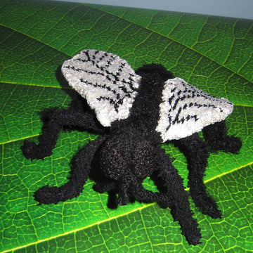 Not So Common House Fly