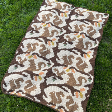 Squiggly Squirrel Blanket