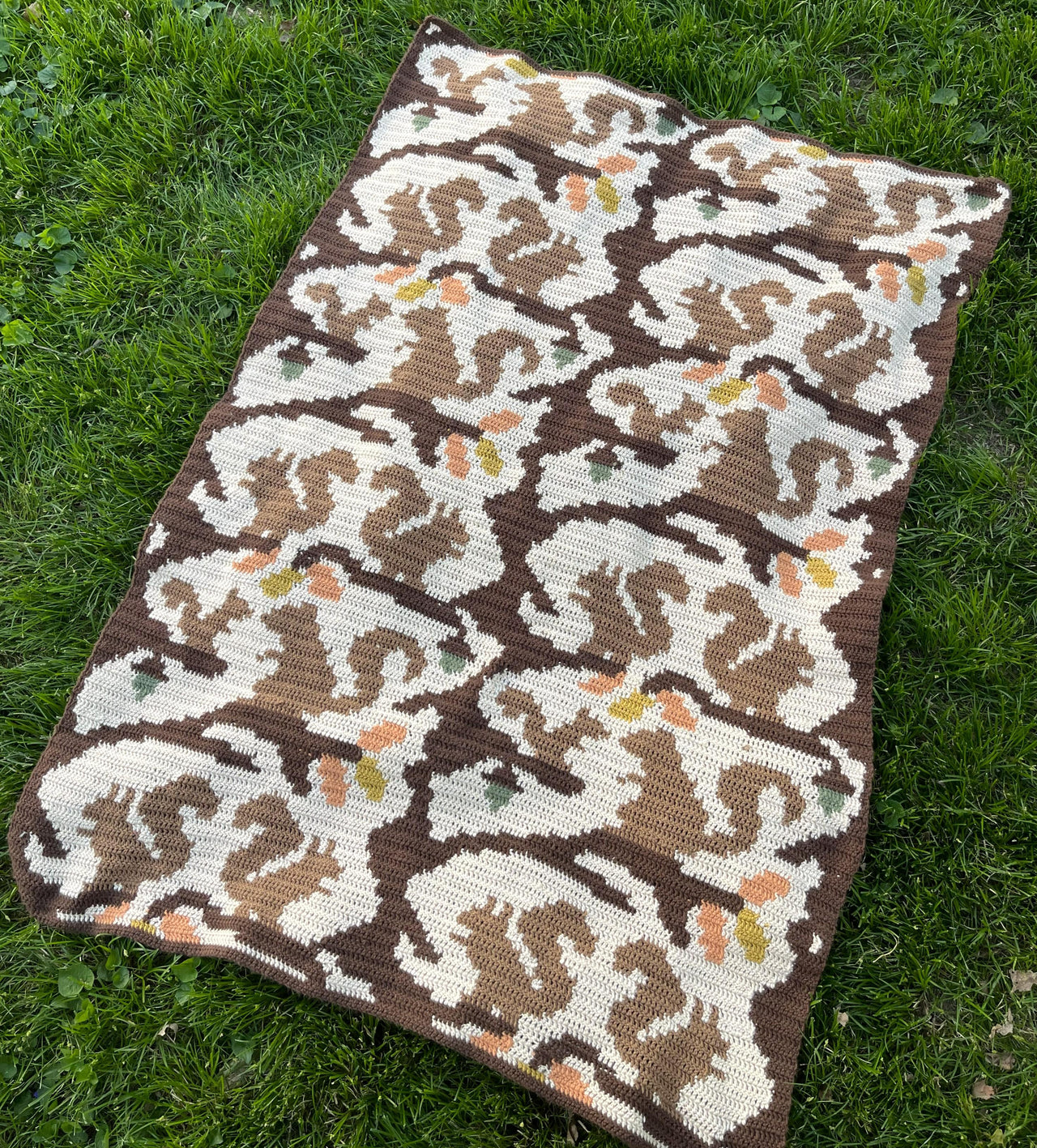 Squiggly Squirrel Blanket