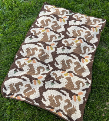 Squiggly Squirrel Blanket