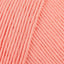 Ixora (N104)