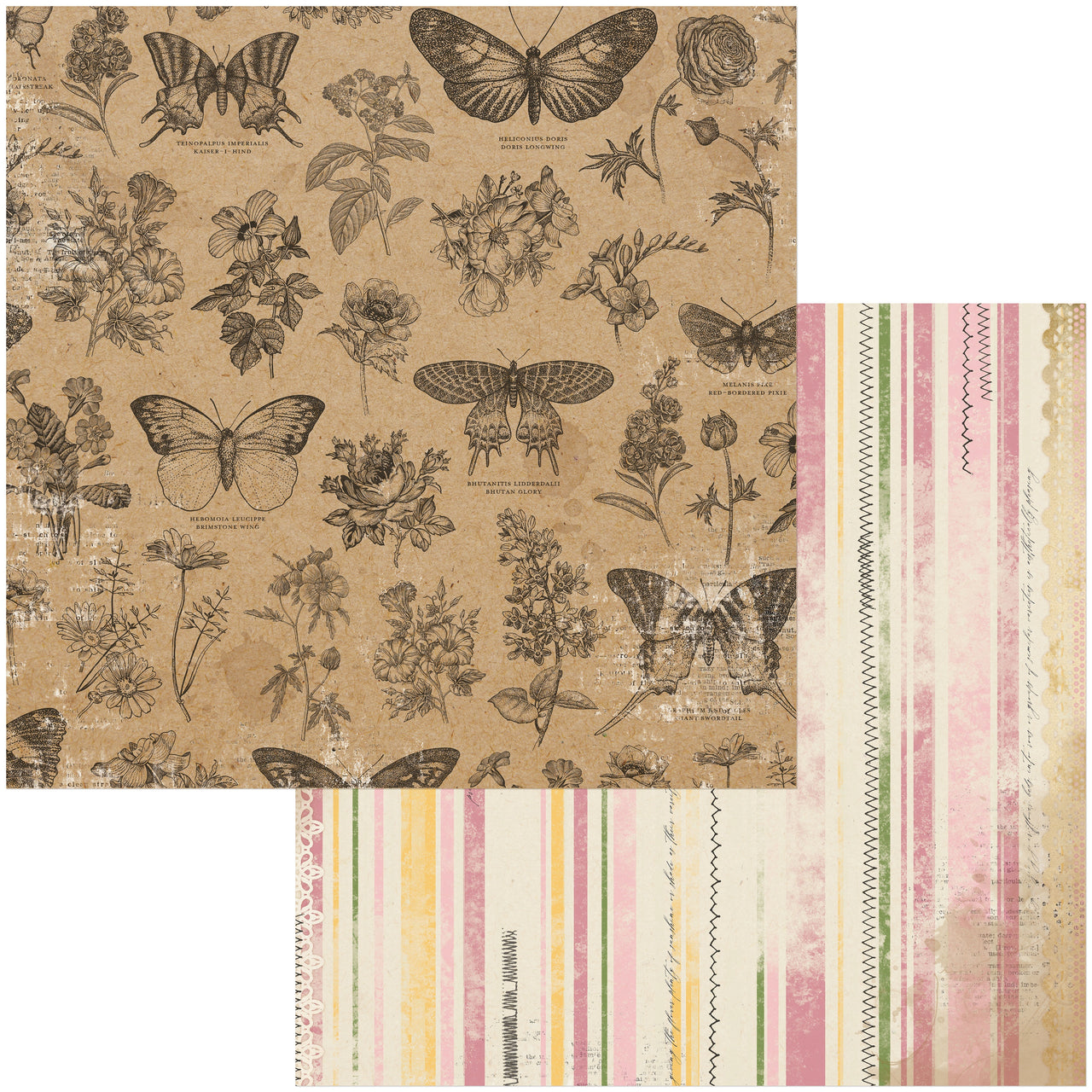 American Crafts Botanical Journal Double-Sided Cardstock 12"X12" 25/Pkg - Butterflies