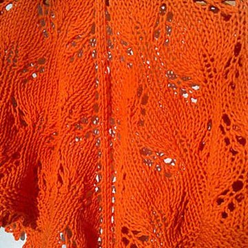 Intriguing Shawl