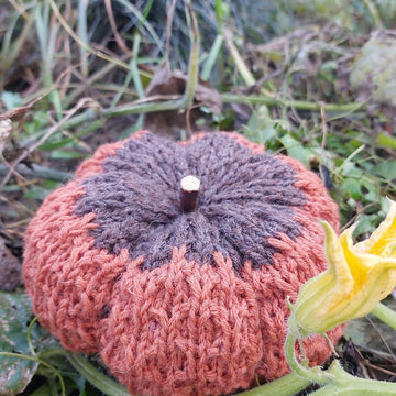 Popi Pumpkin