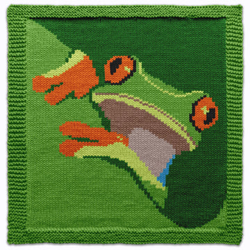 Red Eyed Tree Frog Square Knitting Pattern