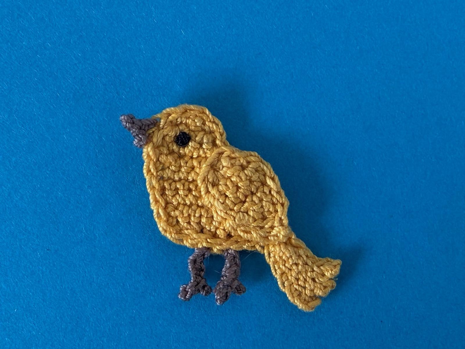 Small Bird