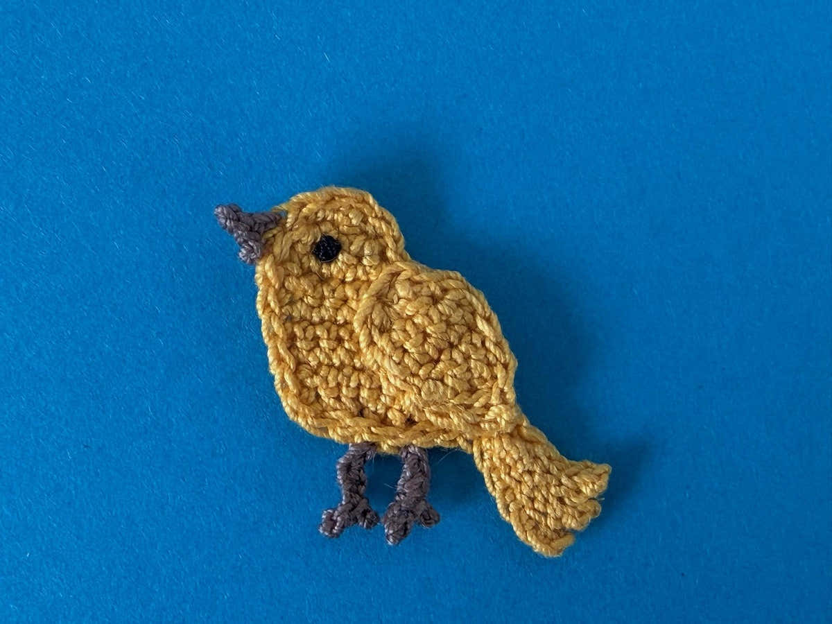 Small Bird