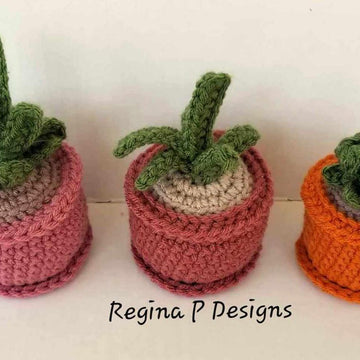 Little Lovely Succulents