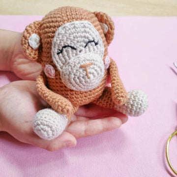 Meiko the Monkey