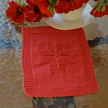 Dishcloth5