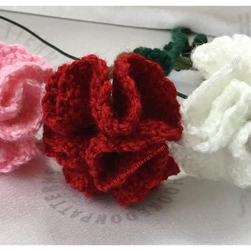 Bouquet of Carnation Flowers