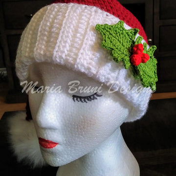 HoHoHo Santa Hat
