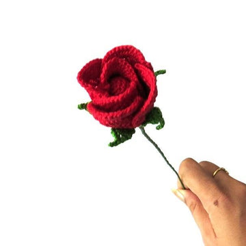 Rose bud