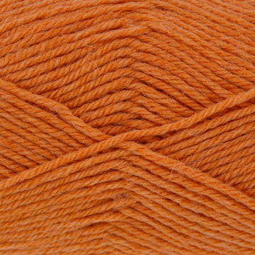 Burnt Orange (2656)
