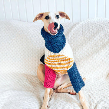 Doggo no 5 sweater