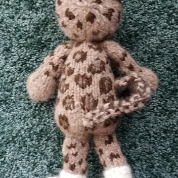 Leopard - African or Snow