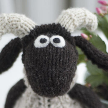 Wee Blackfaced Sheep