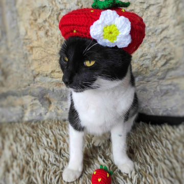 Strawberry Cat Hat
