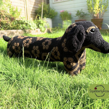 Desmond the African Flower Dachshund Dog