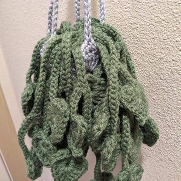 Hanging money plant