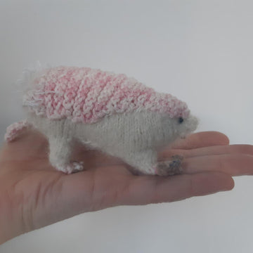 Fairy armadillo