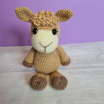 Sweet little Alpaca