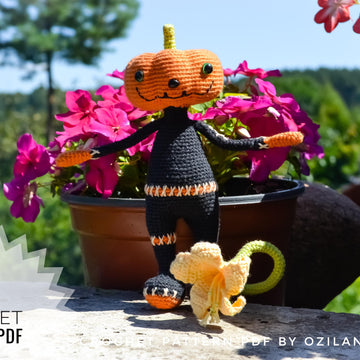 Mr Pumpkin amigurumi doll