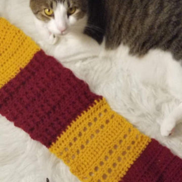 Sampler Scarf