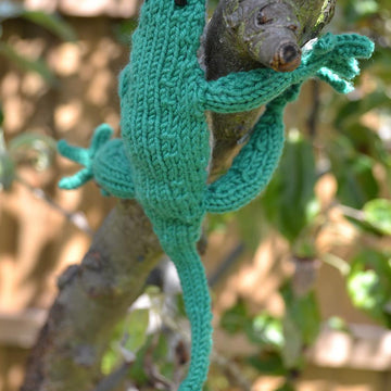 Lizard