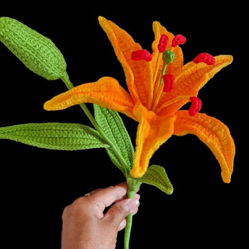 Lily flowers