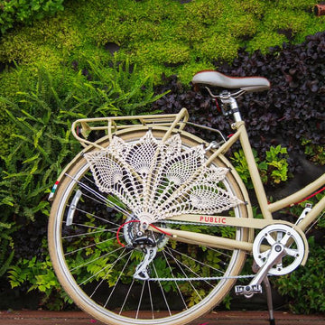 Bicycle Skirt Guard