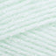 Mint (1)