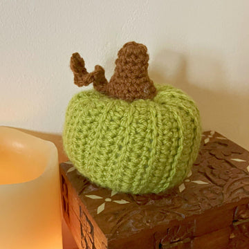 509- Pumpkin Decoration Crochet Pattern - 509