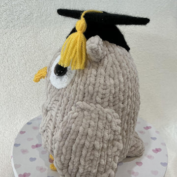 Wise Owls