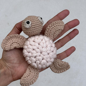 Sea turtle Olivia