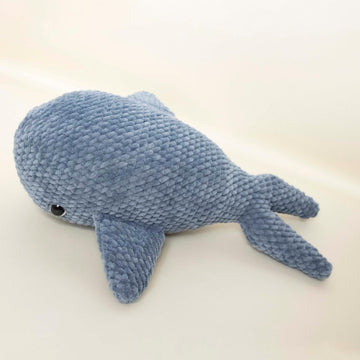 Chunky whale