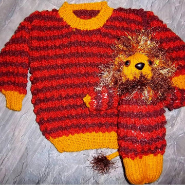 Child's Snazzy Sweater & Toy Lion Set